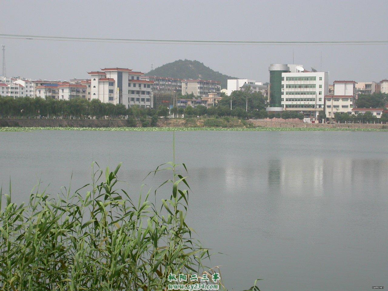 06061916309648.jpg
