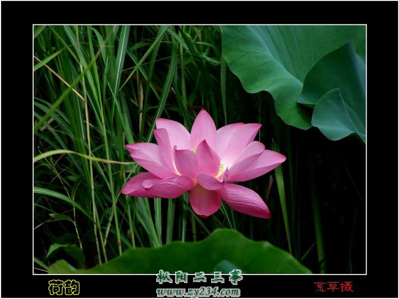 IMG0126A.jpg