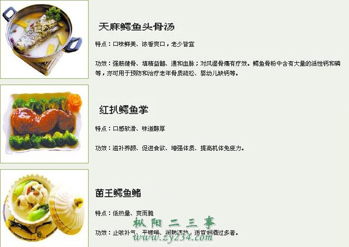 鳄鱼菜谱4