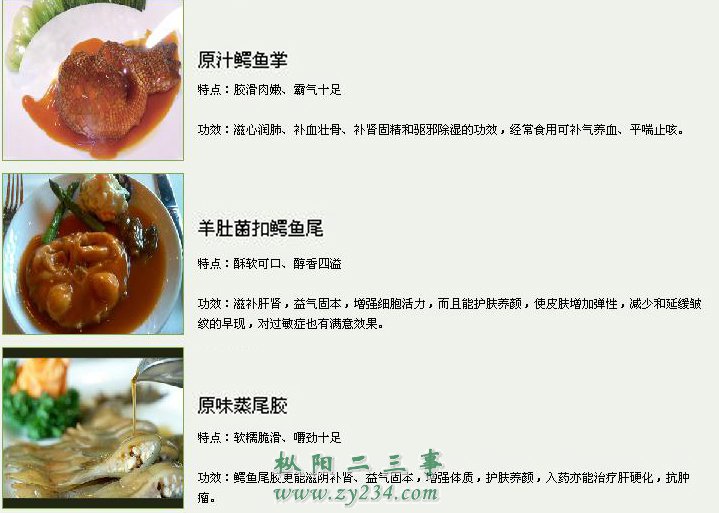 鳄鱼菜谱2