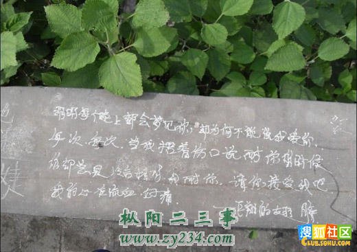 124159938191.jpg