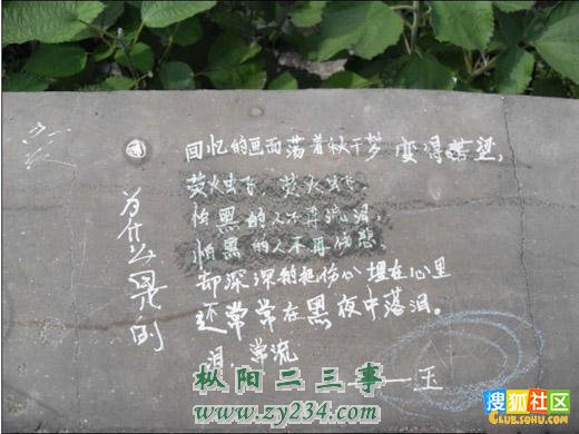 12415993517.jpg