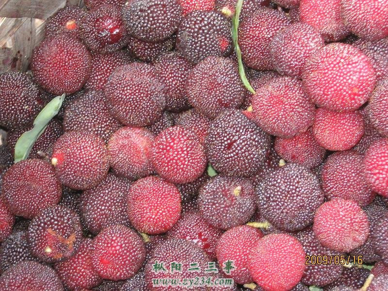 照片 027.jpg