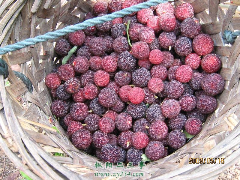 照片 024.jpg