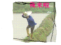 未命名48657.gif