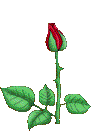 http_imgload112.gif