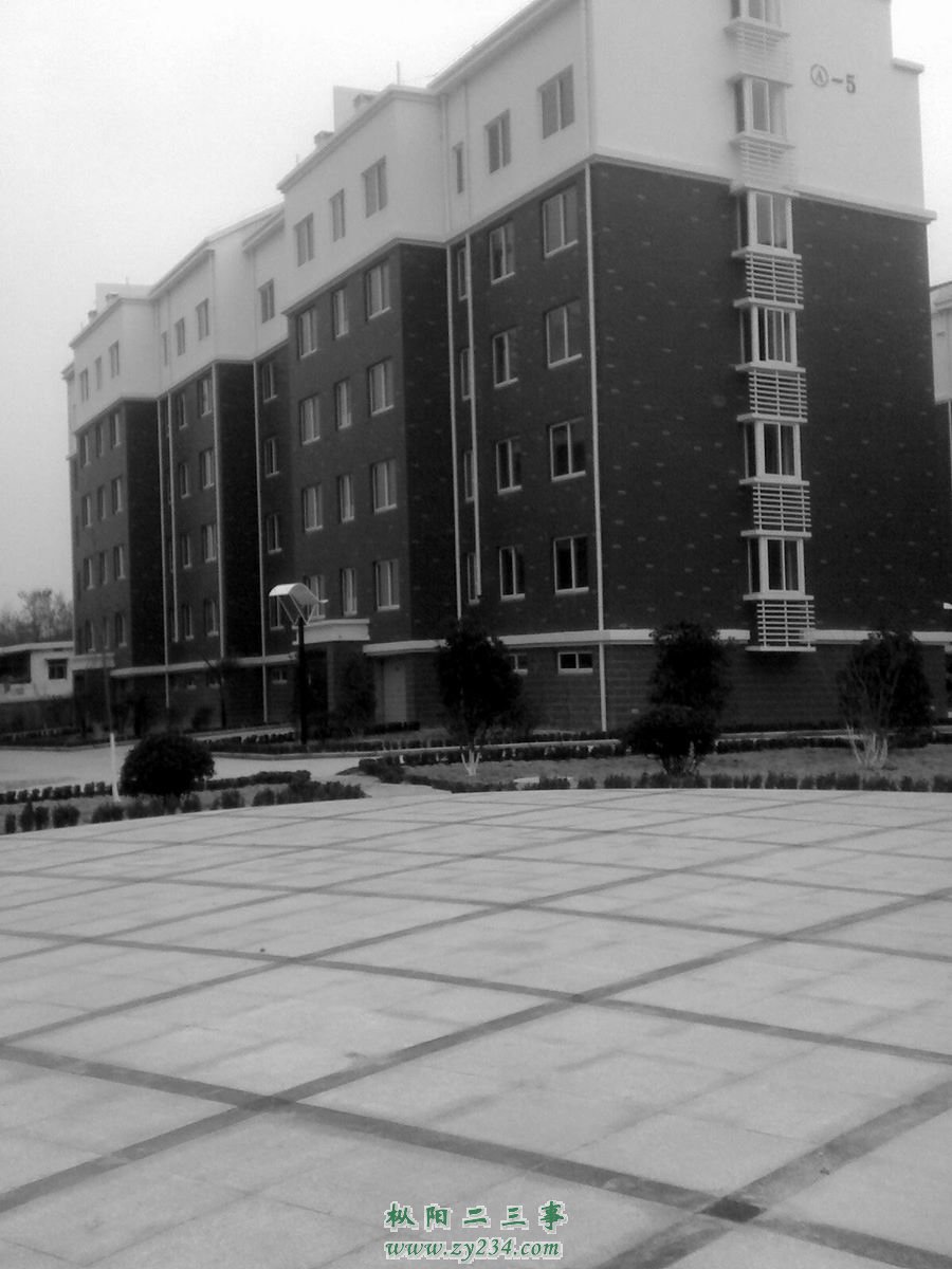 0118_141503.jpg