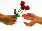 2008922215714756.jpg
