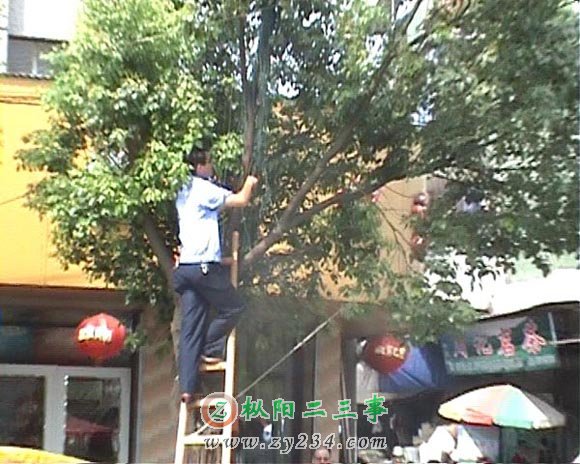 20090712-37s.jpg