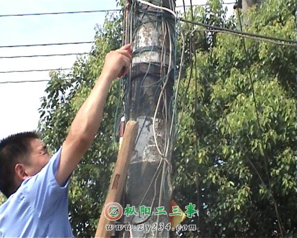 20090712-41a.jpg