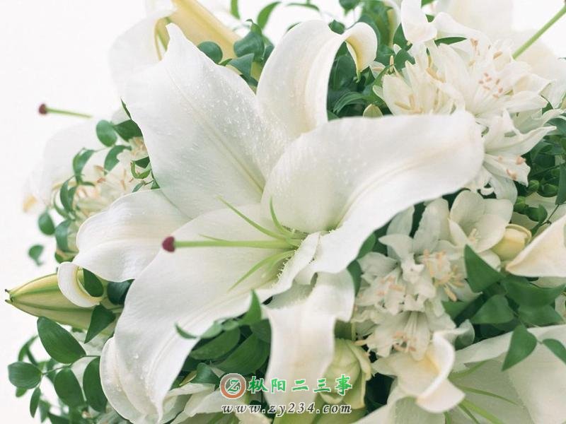 f36a31165a60176b20a4e991.jpg