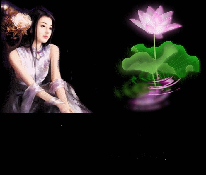 2009818235328.gif