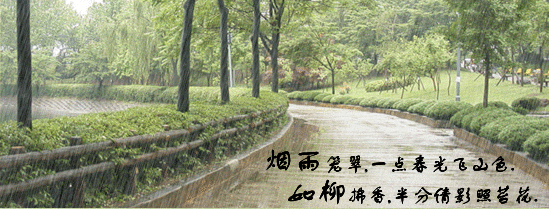 林荫道.gif