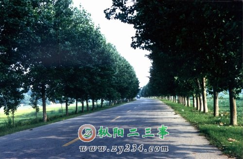 铜安公路