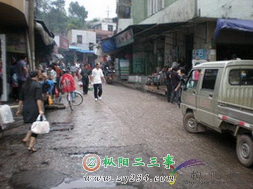 13_20126_2274ee3abe32bfb.jpg
