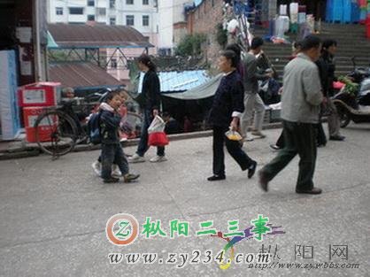 13_20126_d6dbba7647dd0ba.jpg