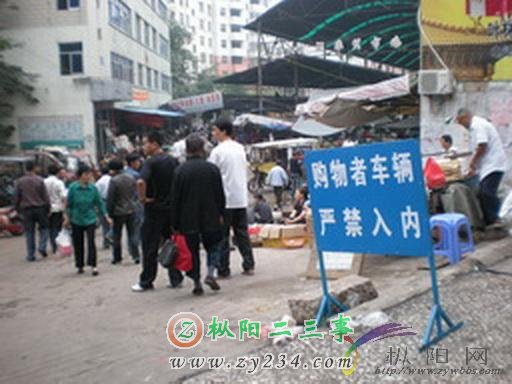 13_20126_837989bce0acaae.jpg