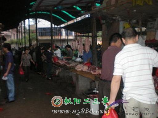 13_20126_50d117abfcd21a8.jpg