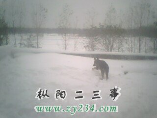 IMG0055A.jpg
