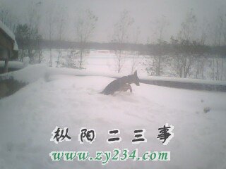 IMG0057A.jpg