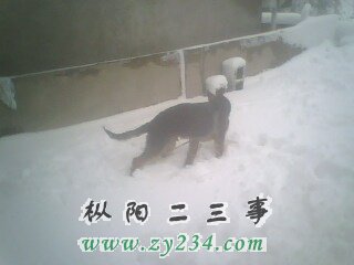 IMG0050A.jpg