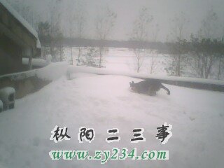 IMG0056A.jpg