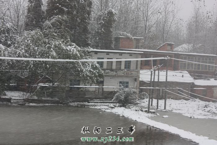 2009_11_16 009.jpg