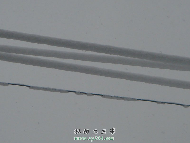“冻雪护套管”1