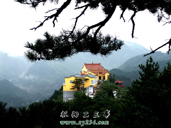 10jindonyai.jpg
