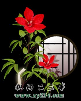 IMG0124A.jpg