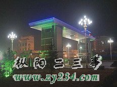 枞阳中学夜景