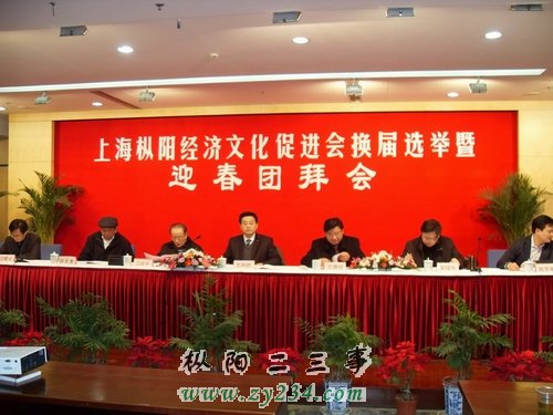 上海枞阳经济促进会年会在沪召开.jpg