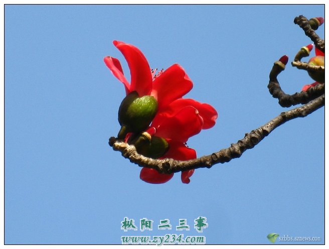 20090325_e1c8d1ae075a786edfafoJo55231iJSK.jpg