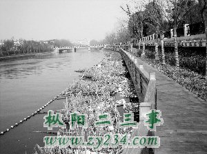 方大七把这一排景观灯都给砸了