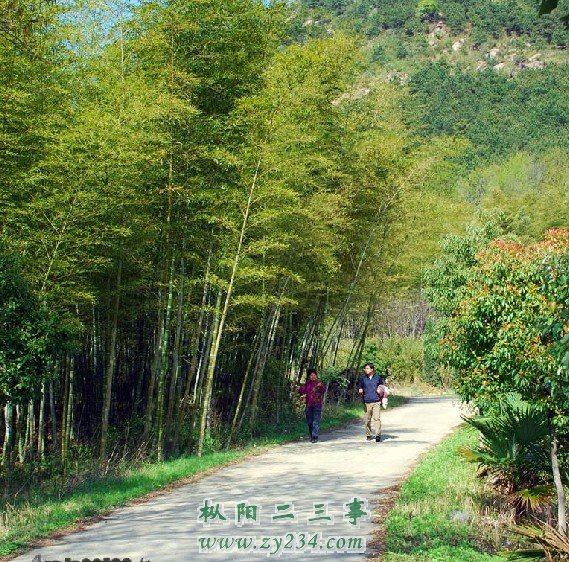 大山02.jpg