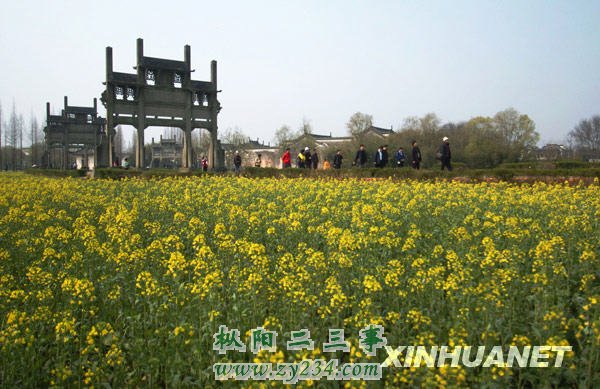 xin_20203071318587651601262.jpg