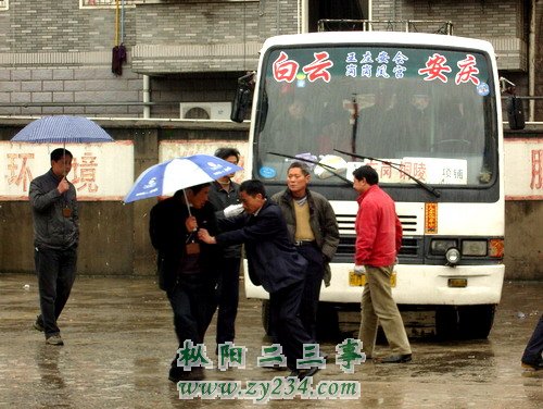 2010031309542895.jpg