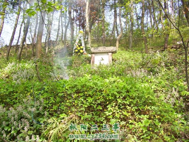 清明节祭扫鞠隐公墓 015.JPG