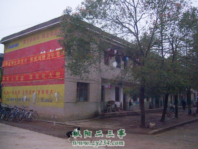 鞠隐中学告别校园摊点 006.JPG