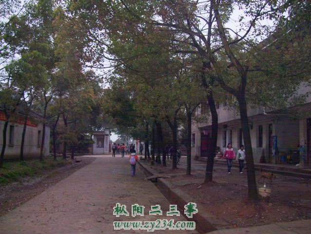 鞠隐中学告别校园摊点 004.JPG