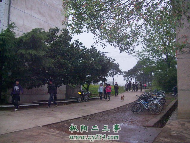 鞠隐中学告别校园摊点 005.JPG