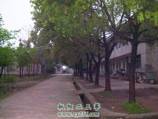 鞠隐中学告别校园摊点 002.JPG