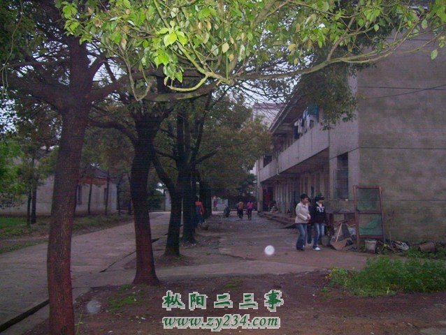 鞠隐中学告别校园摊点 003.JPG
