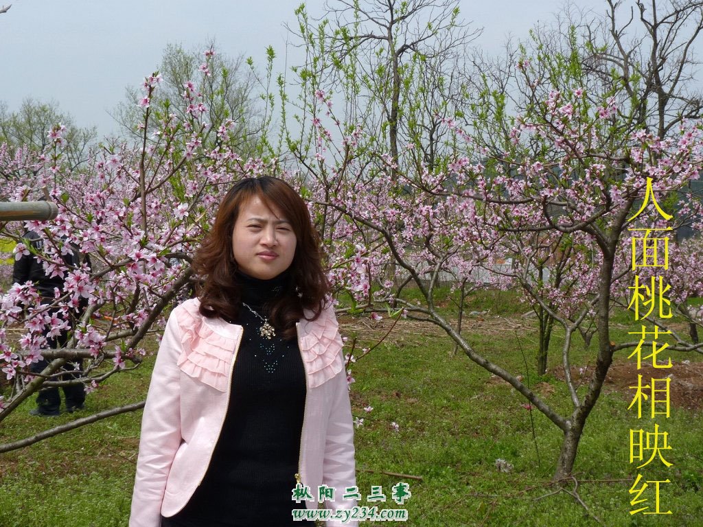 22_1_bed01d53e06799d副本.jpg