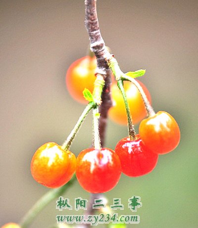upload_image.jpg