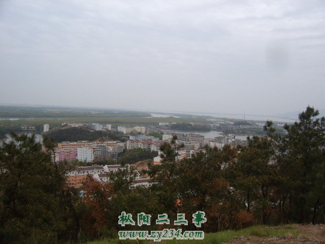 SUC54187.JPG