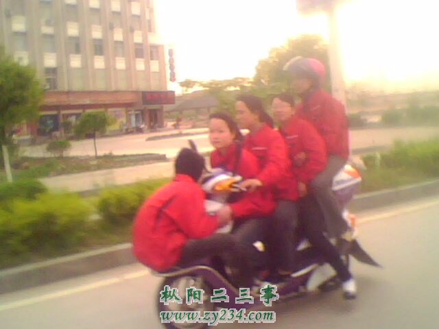 IMG0487A.jpg