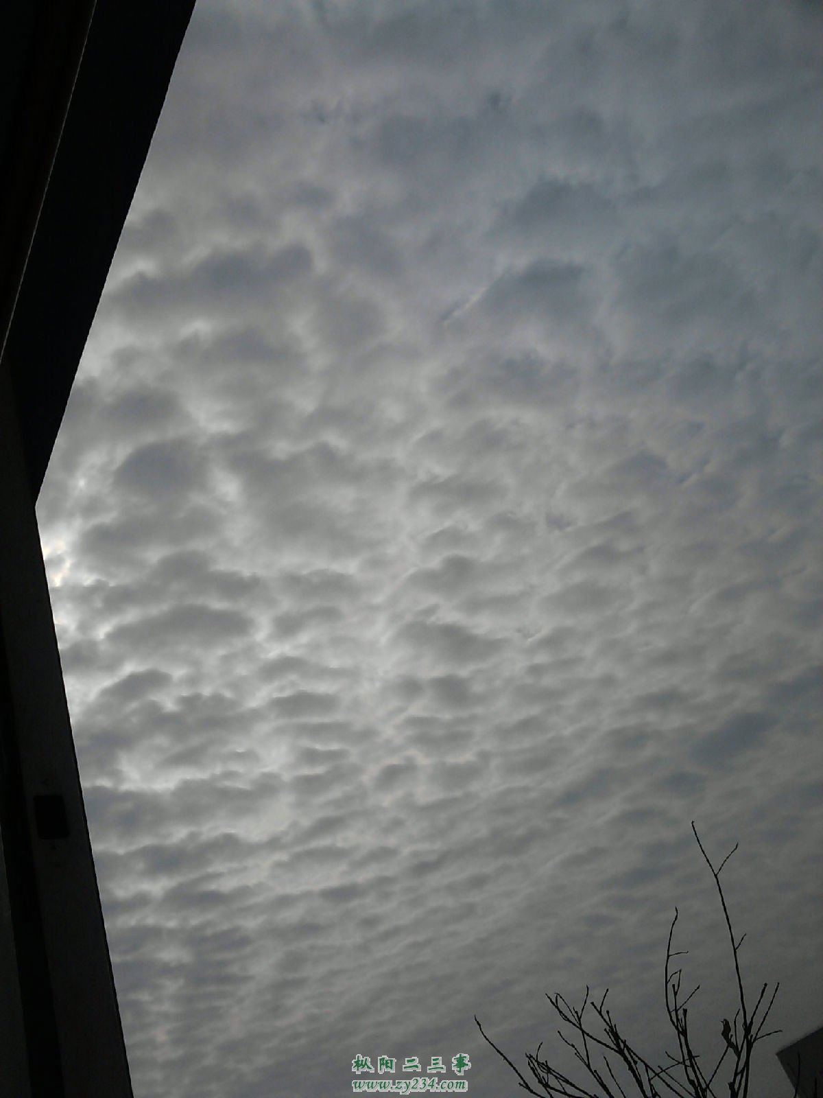 3d714063268eb473eaf8f829.jpg