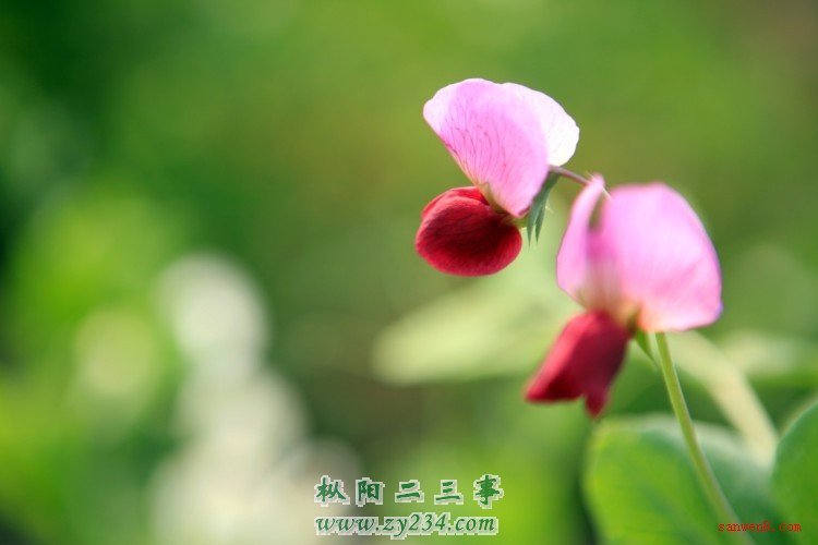 2010051718080634.jpg