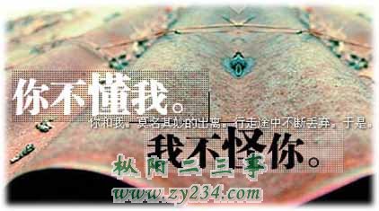 1P1245S011.jpg